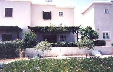 beach house garden in kiti cyprus for sale.jpg (34891 bytes)